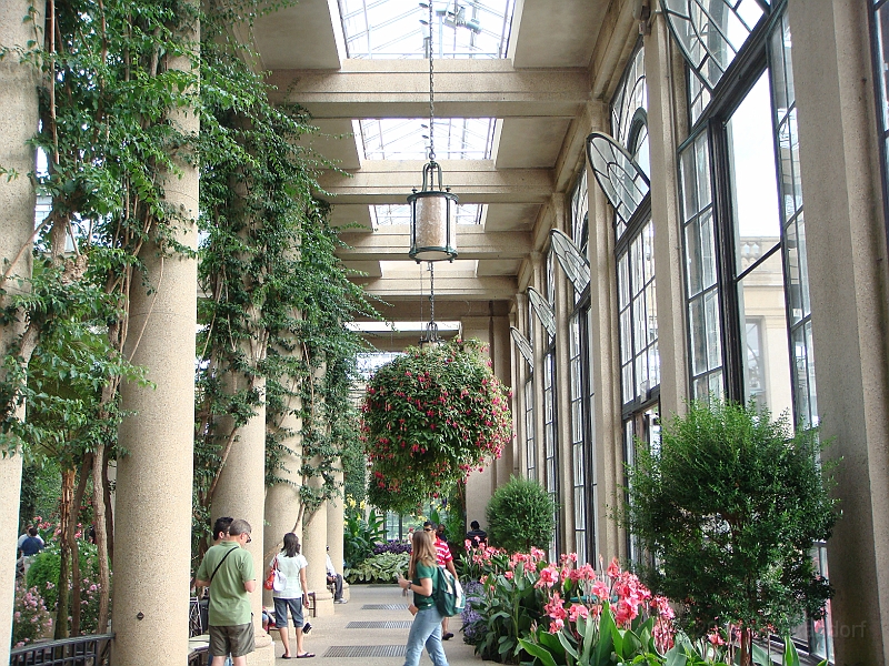 259 Longwood Gardens [2008 August 23].JPG - Longwood Gardens in Pennsylvania